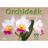 Orchide&aacute;k - 99 k&eacute;rd&eacute;s &eacute;s v&aacute;lasz - Dr. Folko Kullmann