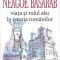NEAGOE BASARAB: VIATA SI ROLUL SAU IN ISTORIA ROMANILOR-MANOLE NEAGOE-268910