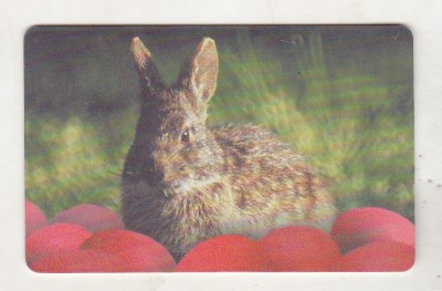 bnk card Cartela telefonica - P-25b 200a 50000 lei Paste foto