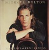 Michael Bolton &ndash; Time, Love &amp; Tenderness, LP, Europe, 1991, stare excelenta (VG+), Pop, Atlantic