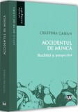 Accidentul de munca. Realitati si perspective - Cristina Casian - Universul Juridic