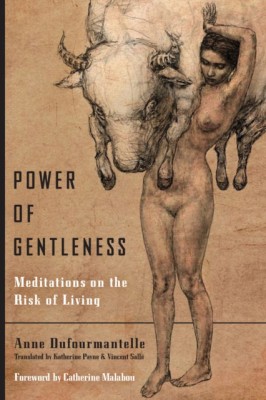 Power of Gentleness: Meditations on the Risk of Living foto