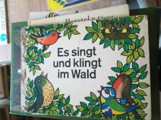 Es singt und klingt im Wald foto