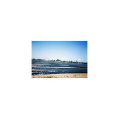 Folie mulcire neagra 15 microni - 0,8m x 2500m