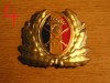 QW14 - Emblema militara / cuc - uscat - anii 1990 - piesa de colectie