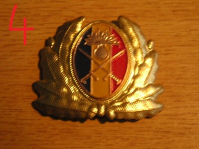 QW14 - Emblema militara / cuc - uscat - anii 1990 - piesa de colectie foto