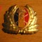 QW14 - Emblema militara / cuc - uscat - anii 1990 - piesa de colectie