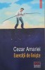 Exercitii de liniste - Cezar Amariei - Roman