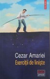 Exercitii de liniste - Cezar Amariei - Roman