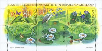 MOLDOVA 2008, Flora, bloc neuzat, MNH foto