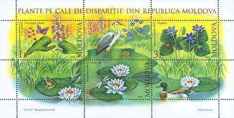 MOLDOVA 2008, Flora, bloc neuzat, MNH