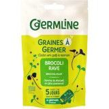 Seminte de Broccoli Rabe pentru Germinat Ecologice/Bio 150g