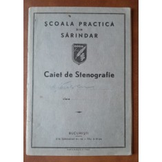 Caiet de stenografie, Serbanescu