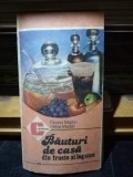 Dorina Martin, Mihai Martin - Bauturi de casa din fructe si legume