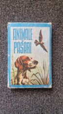 JOC ANIMALE SI PASARI
