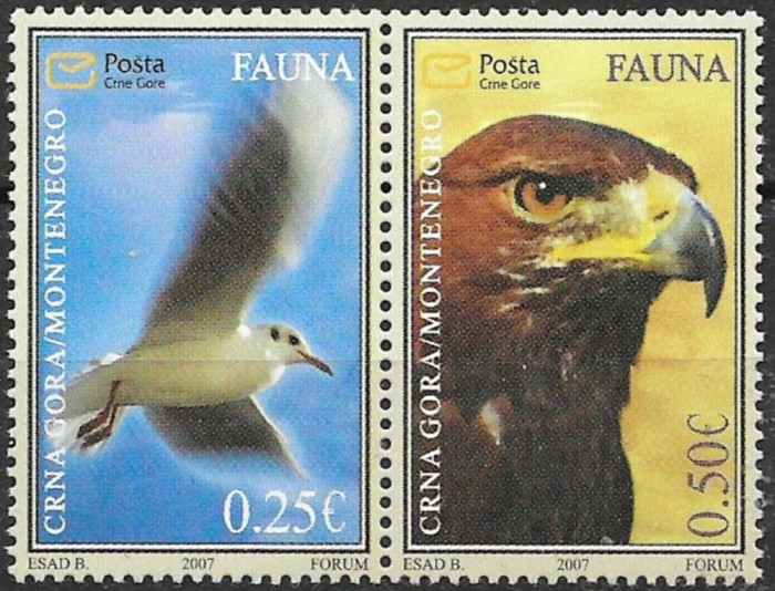 MUNTENEGRU 2007, Fauna, Pasari, serie neuzata, MNH