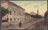 1484 - BUZIAS, Timis, street, Romania - old postcard - used - 1912