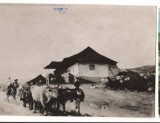 CPIB 17404 CARTE POSTALA - BUCURESTI MUZEUL DE ARTA RPR. HAN LA MARGINEA SATULUI, Necirculata, Fotografie