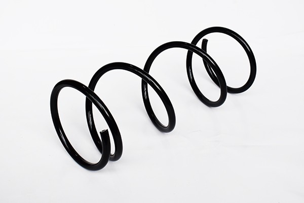 Arc Suspensie Fata 65885 SR.049