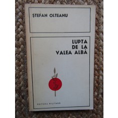 Ștefan Olteanu - Lupta de la Valea Albă (1476)