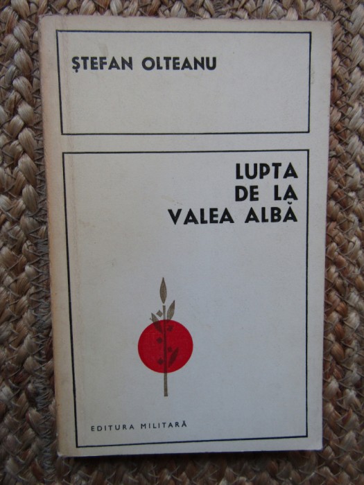 Ștefan Olteanu - Lupta de la Valea Albă (1476)