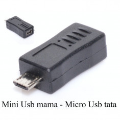 Adaptor Micro USB tata la Mini USB mama foto