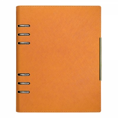 Agenda organizer A5 cu 6 inele bej foto