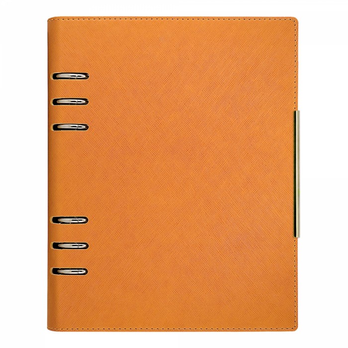 Agenda organizer A5 cu 6 inele bej