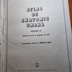 atlas de anatomie umana - sistemul nervos organele de simt - din anul 1985