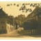 1948 - SIGHISOARA, Mures, Romania - old postcard, real PHOTO - used - 1931