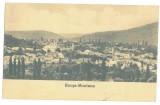 4608 - BOCSA MONTANA, Caras-Severin, Panorama, Romania - old postcard - unused