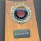 AX 166 PLACHETA -COMPETITIE DARTS -TRAGERE LA TINTA