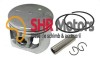 Piston drujba China 4500 - 43 mm Calitatea II