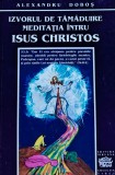 Cumpara ieftin Izvorul de tămăduire meditația &icirc;ntru Isus Christos - 1993 - Alexandru Doboș (R320)