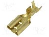 Terminal tip plat, pentru surub {{Orificiu pentru &amp;#351;urub}}, IMP - 3670.11.00.9