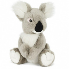 Ursulet Koala de plus cu velcro 25 cm foto