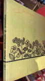 PLANTELE MEDICINALE SI AROMATICE/RACZ,LAZA,COICIU/EDITURA CERES,1970/CARTONATA