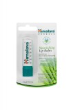 BALSAM HRANITOR PT BUZE 4.5GR