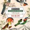 Brain Games - Sticker by Number - Vintage: Birds