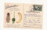 CA9 -Carte Postala-Buletin de avertizare-Combateti viespea merelor,Circ. 1965