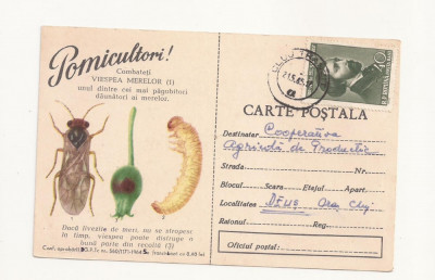 CA9 -Carte Postala-Buletin de avertizare-Combateti viespea merelor,Circ. 1965 foto