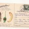CA9 -Carte Postala-Buletin de avertizare-Combateti viespea merelor,Circ. 1965