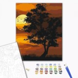 Pictura pe numere - Apus stralucitor, 40x50 cm | Brushme