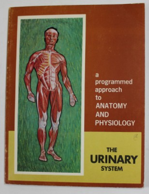 THE URINARY SYSTEM , 1970 foto