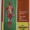 THE URINARY SYSTEM , 1970