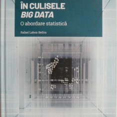 In culisele Big Data. O abordare statistica – Rafael Lahoz-Beltra (cateva sublinieri)