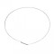 Colier siguranta garnitura hublou C00119210 Whirlpool 482000029103