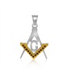 Pandantiv masonic 13 pietre