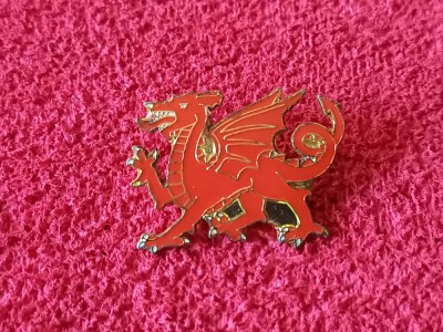 Insigna - blazon TARA GALILOR foto