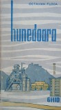 Hunedoara. Ghid al judetului - Octavian Floca